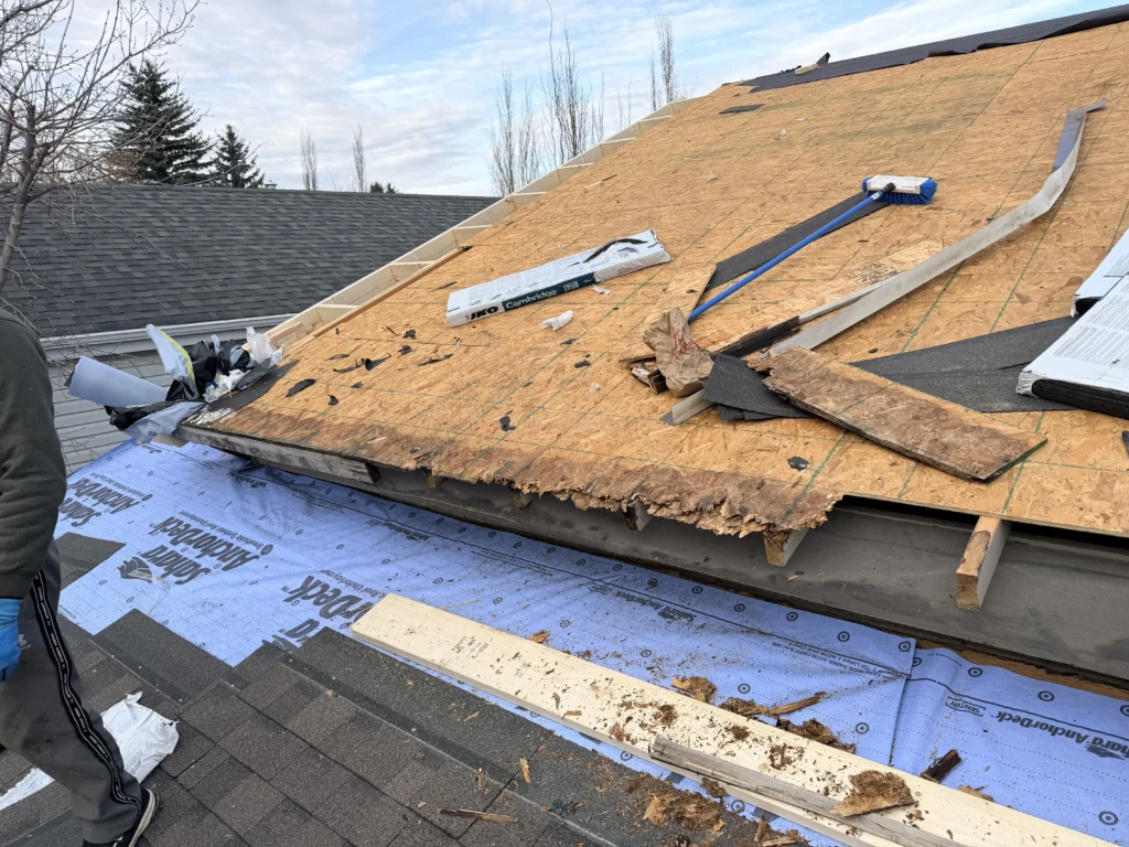 Exposed roof deck and underlayment during a roof repair by Roof It Right