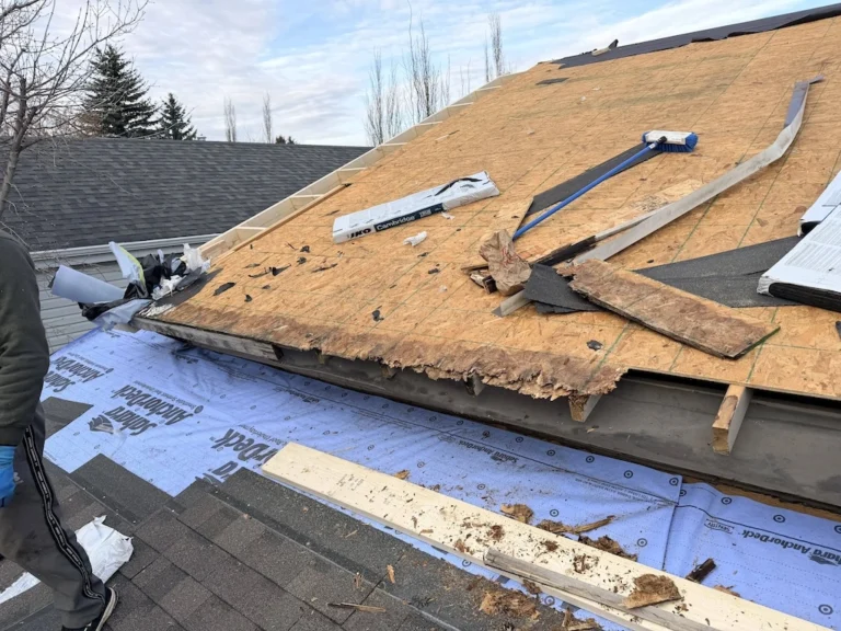 Roof Repair Costs vs Roof Replacement Costs