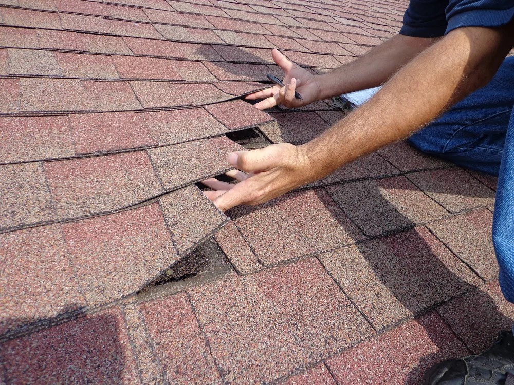 roof inspections, roof repairs, roof replacements in Edmonton